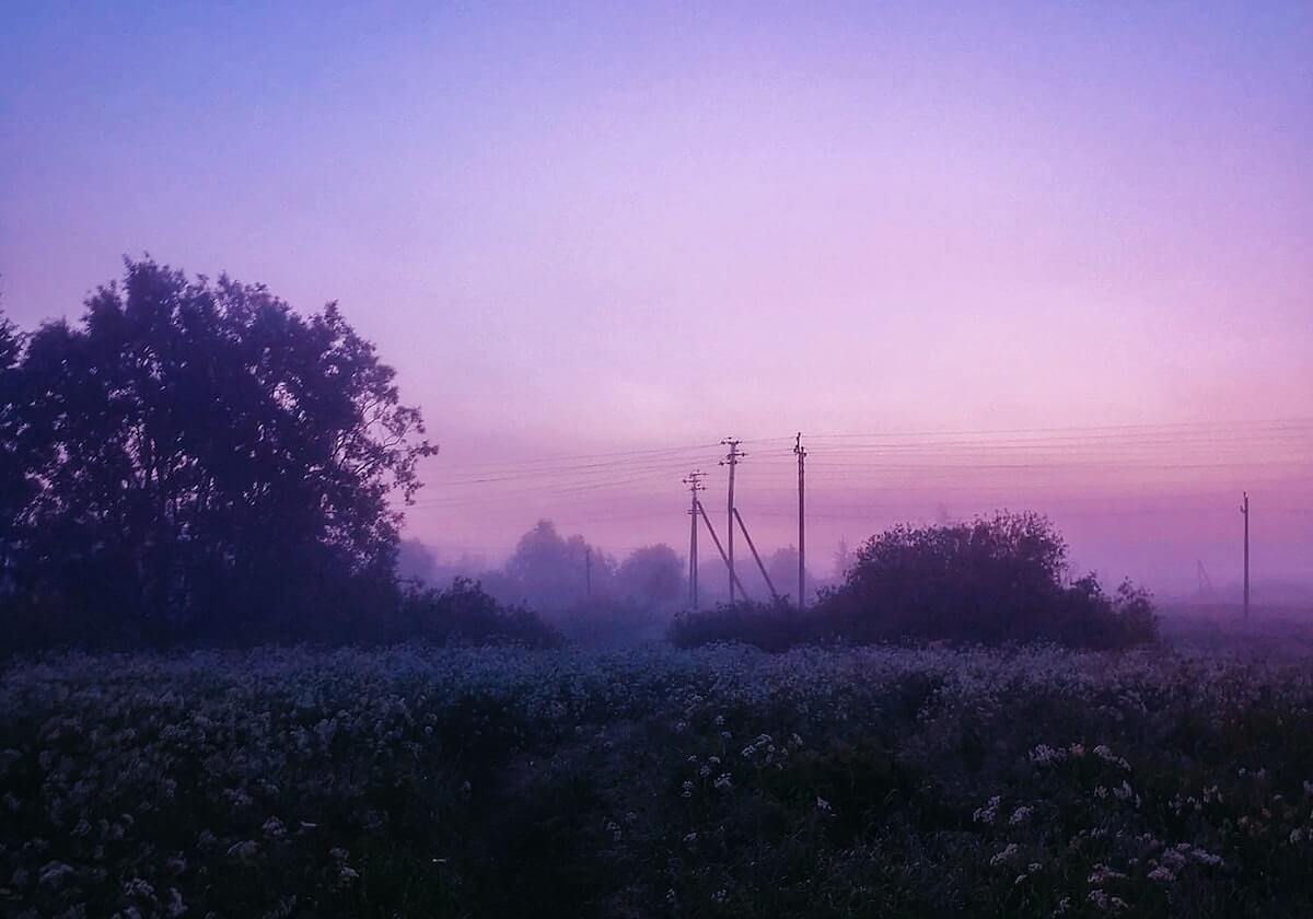 欧足联重罚！本菲卡球员禁赛6场